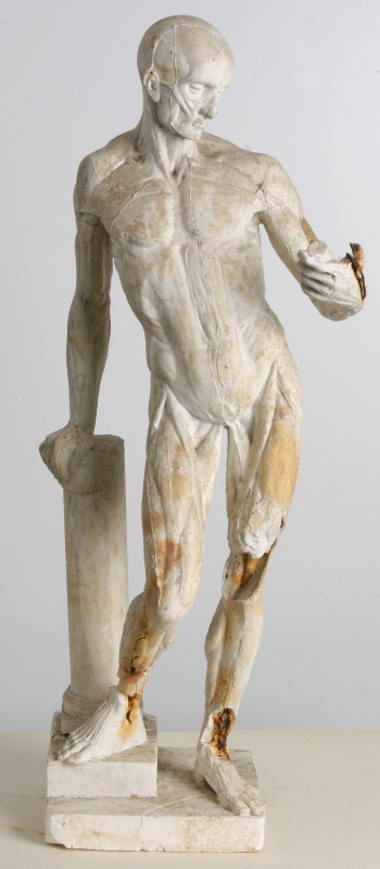 Lottatore