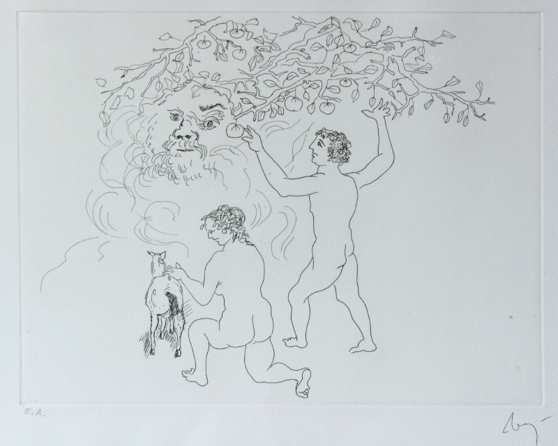 Paradiso perduto (27/40)