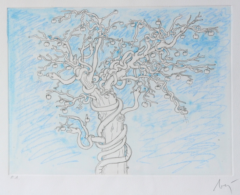 Paradiso perduto (34/40)