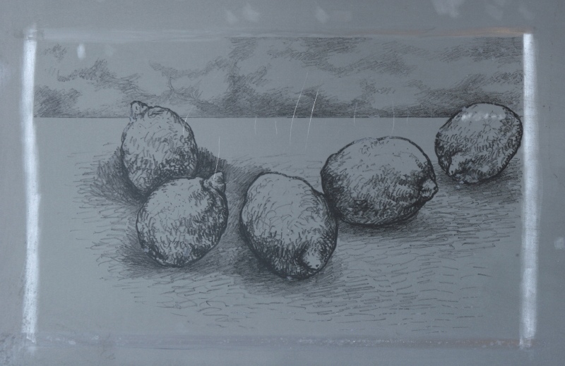 Limoni