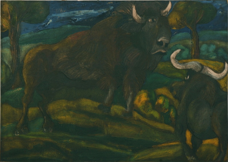 I Bisonti