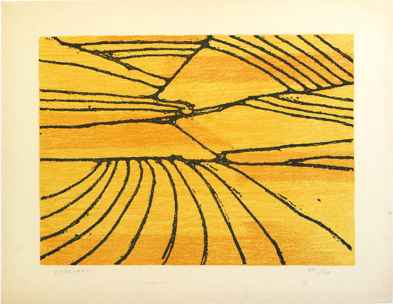 Campo di grano a Pavarolo