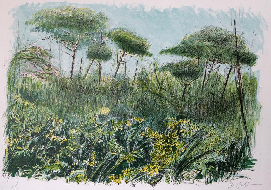 Le Pinete