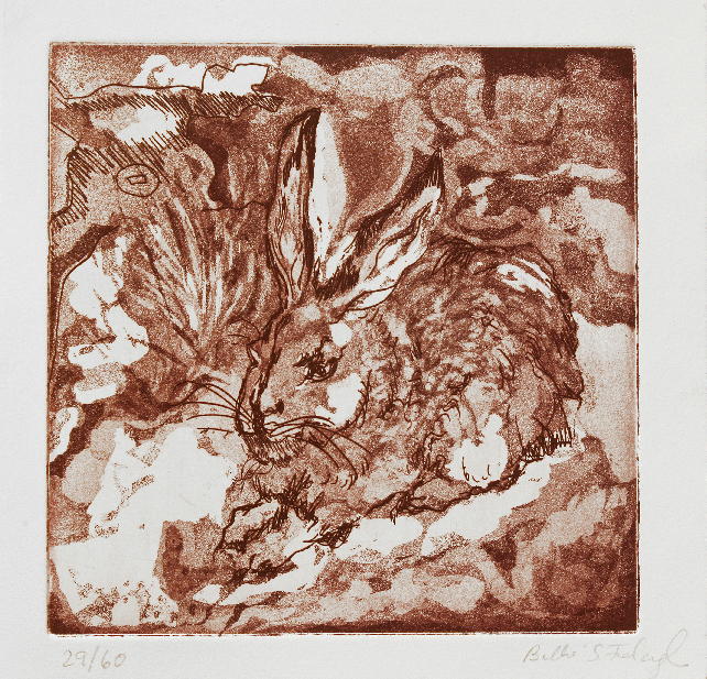 The naughty rabbit