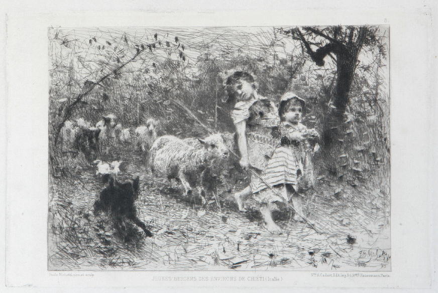 Jeunes berges des environs de Chieti (Italie)