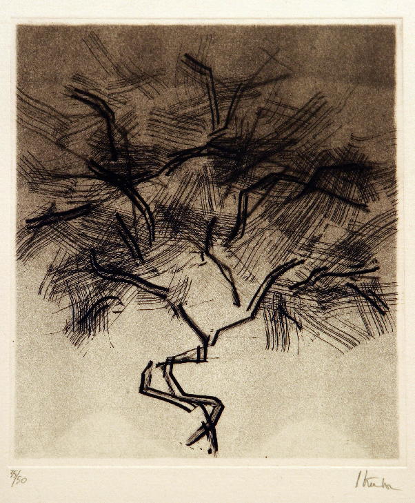 Storia degli alberi