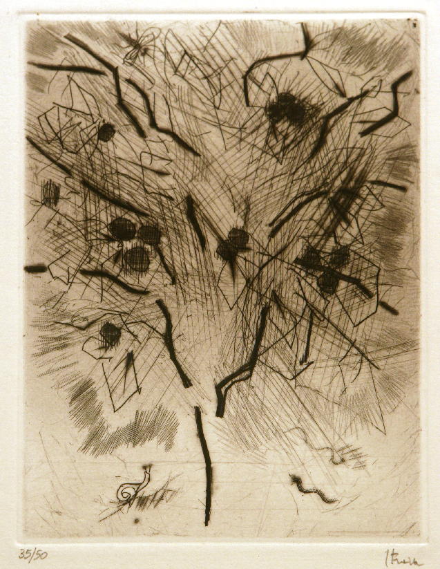 Storia degli alberi