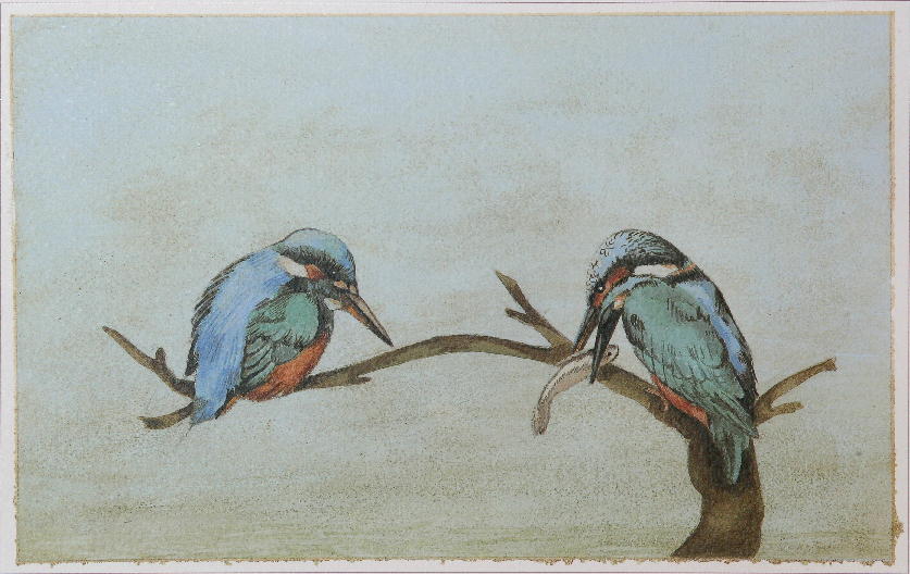 La natura nel parco