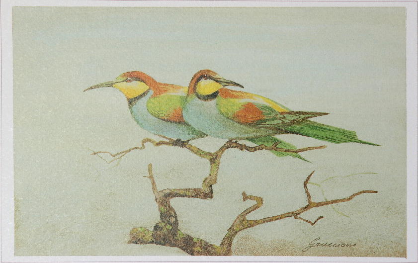 La natura nel parco