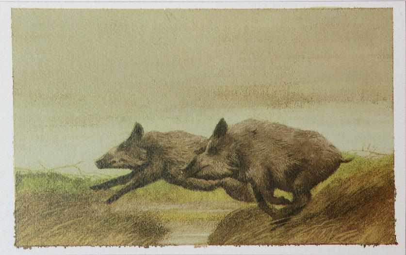 La natura nel parco