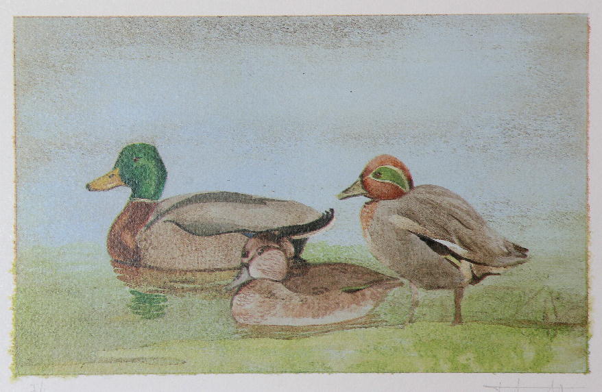 La natura nel parco