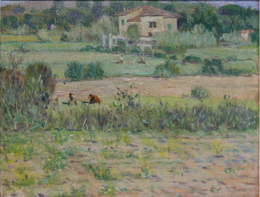 Campagna versiliese