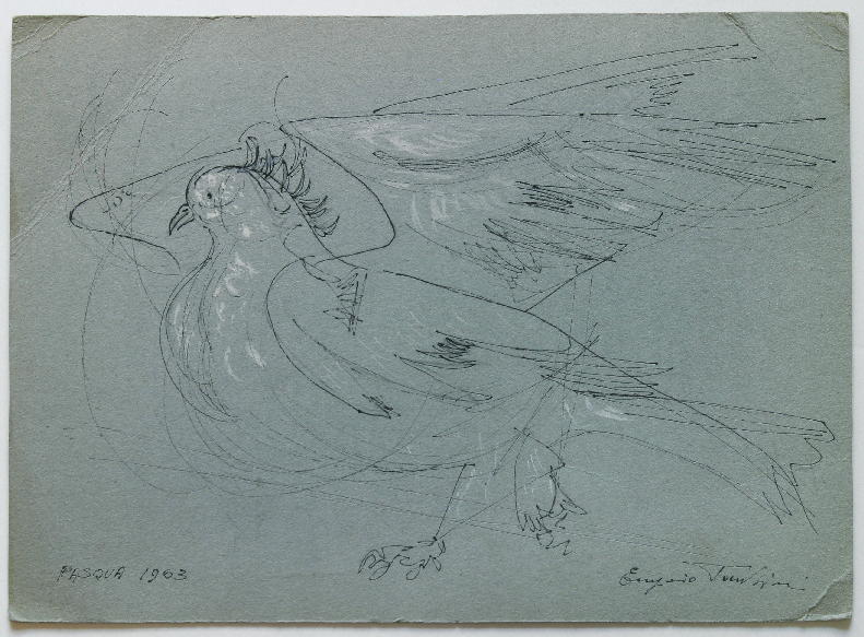 Uccello