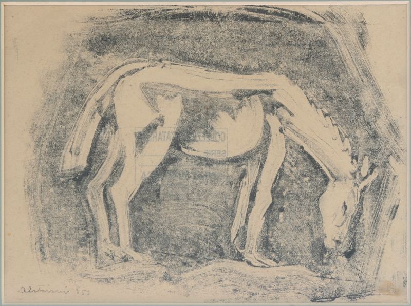 Cavallino