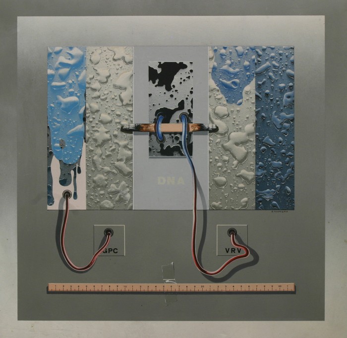 GAMC - Galleria di Arte Moderna - Opera : DNA - autore: Torriero E. , immagine