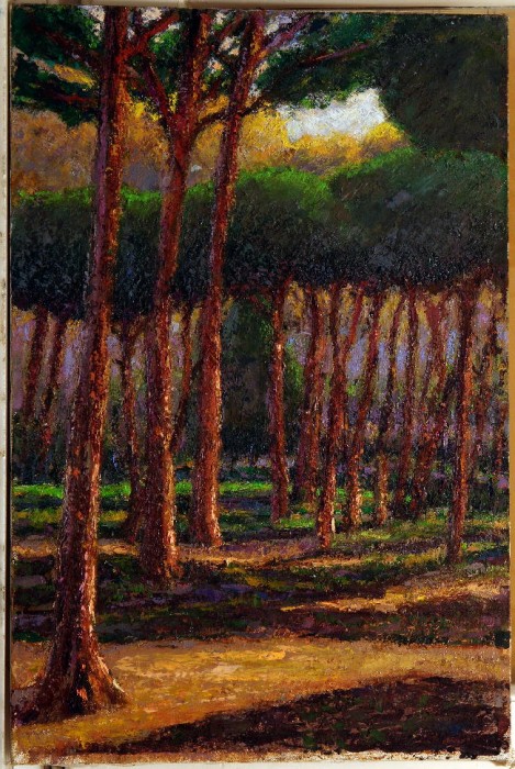 pineta