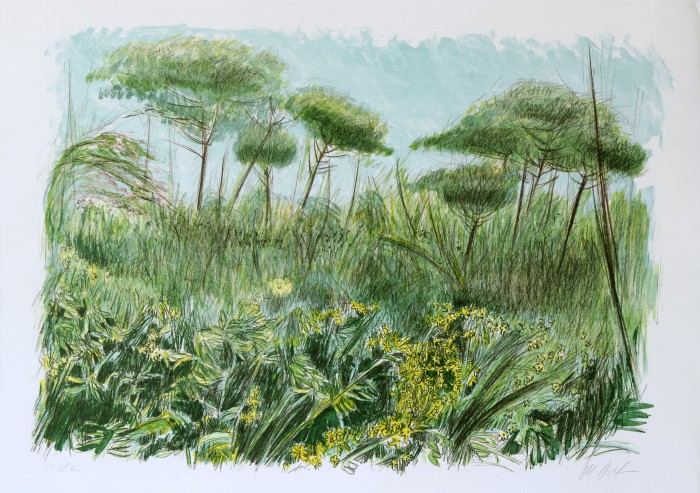 Le pinete