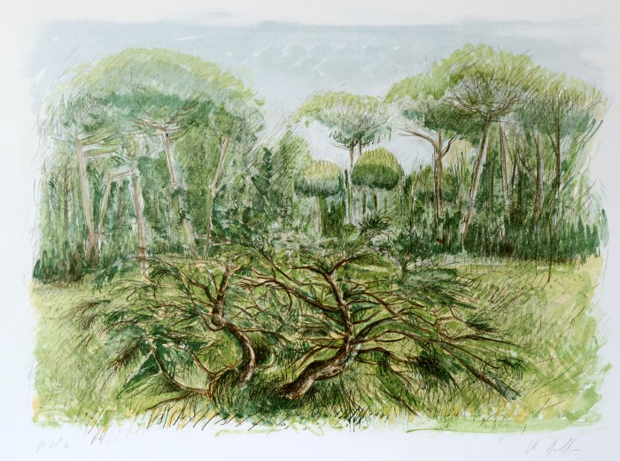Le pinete