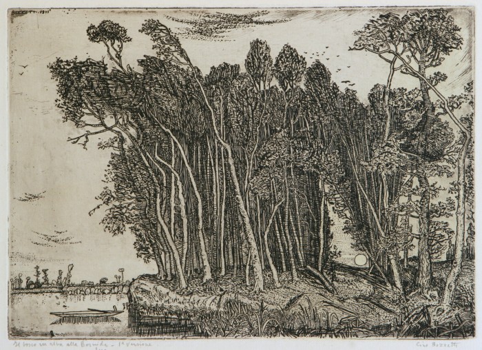 Il bosco in riva alla Bormida