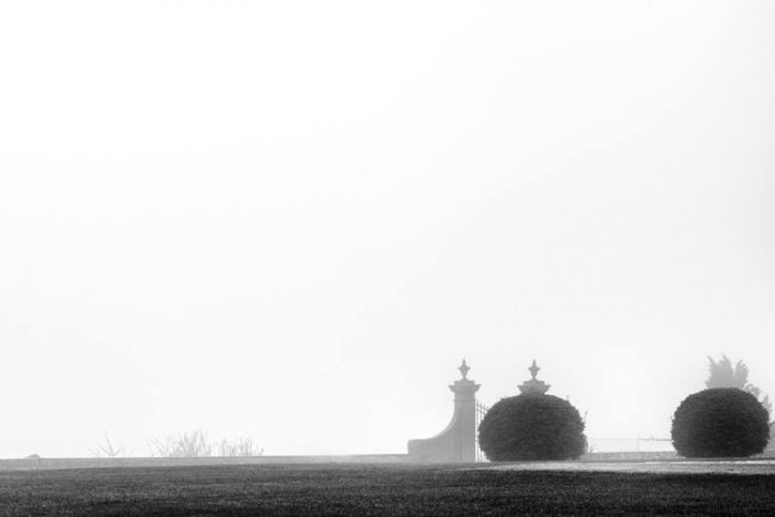 GAMC - Galleria di Arte Moderna - Mostra : HALLELUJAH TOSCANA, fotografie di Marco Paoli, poesie di Alba Donati, a cura di Sergio Risaliti - Organizzazione: Marcella Cangioli, Firenze Città Nascosta, immagine