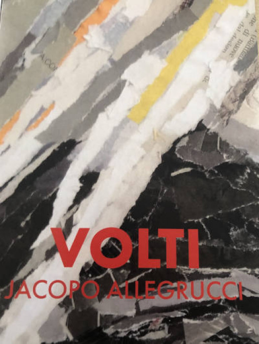 GAMC - Galleria di Arte Moderna - Mostra : VOLTI, immagine